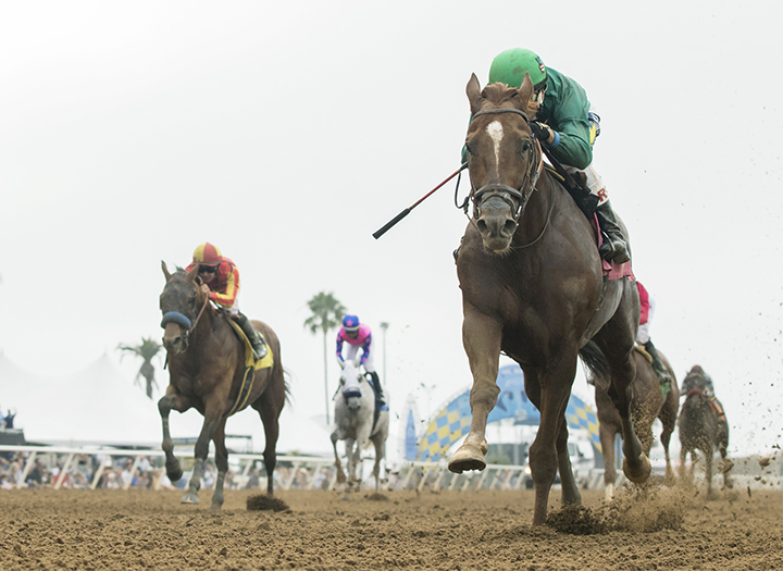 Beach View wins the 2018 Cougar II Handicap