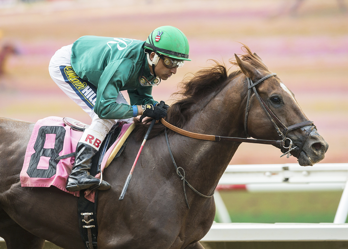 Beach View wins the 2018 Cougar II Handicap