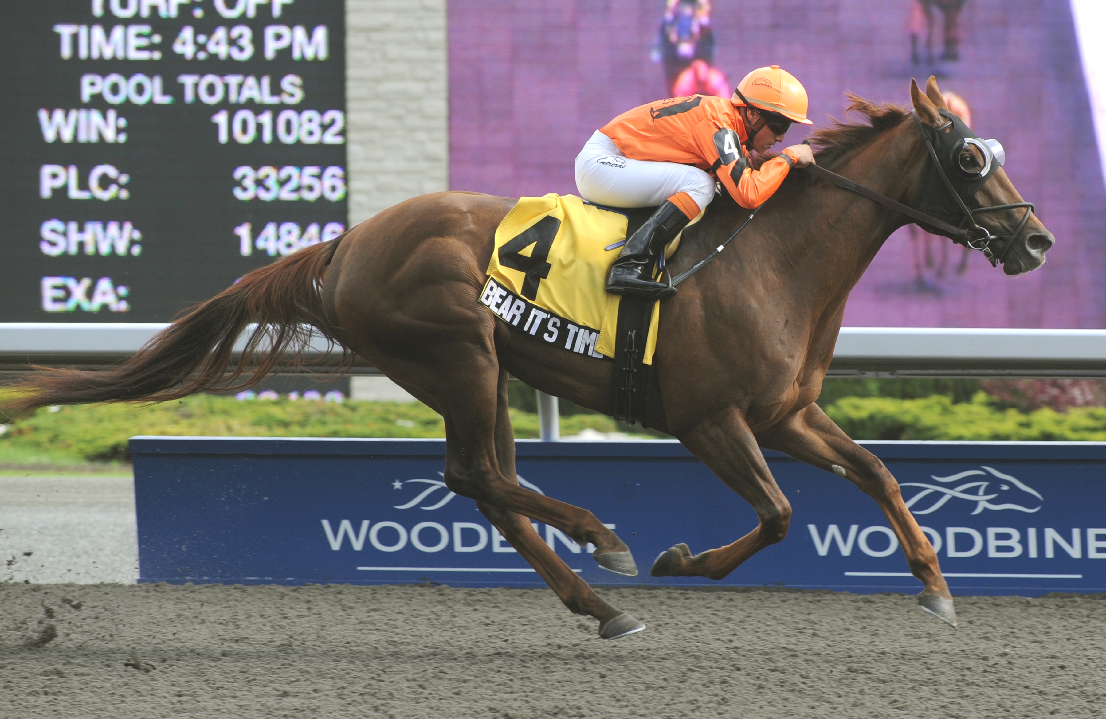 Bear It's Time, Lady Angela Stakes