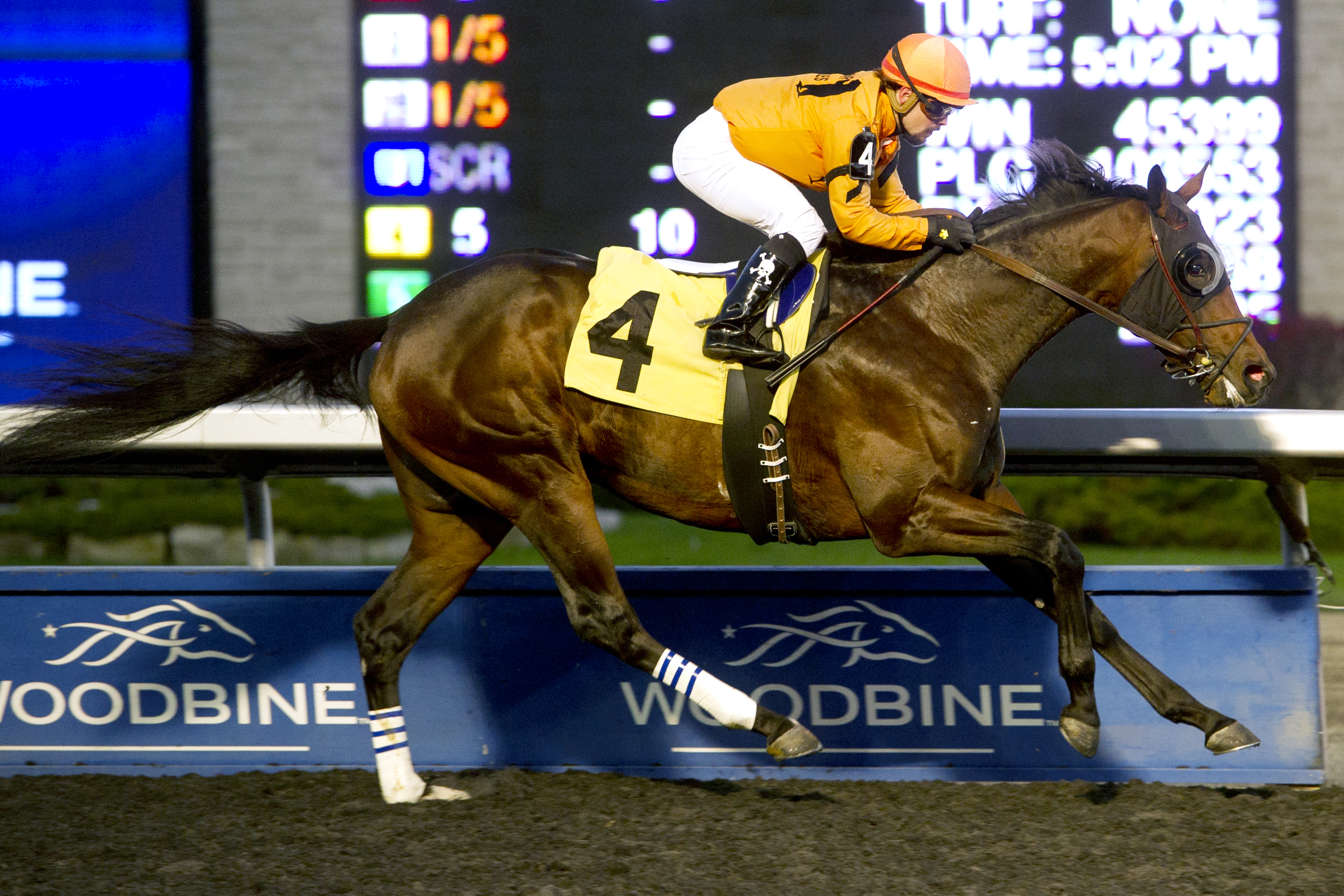 Bear'sway wins an optional claimer on Nov. 8