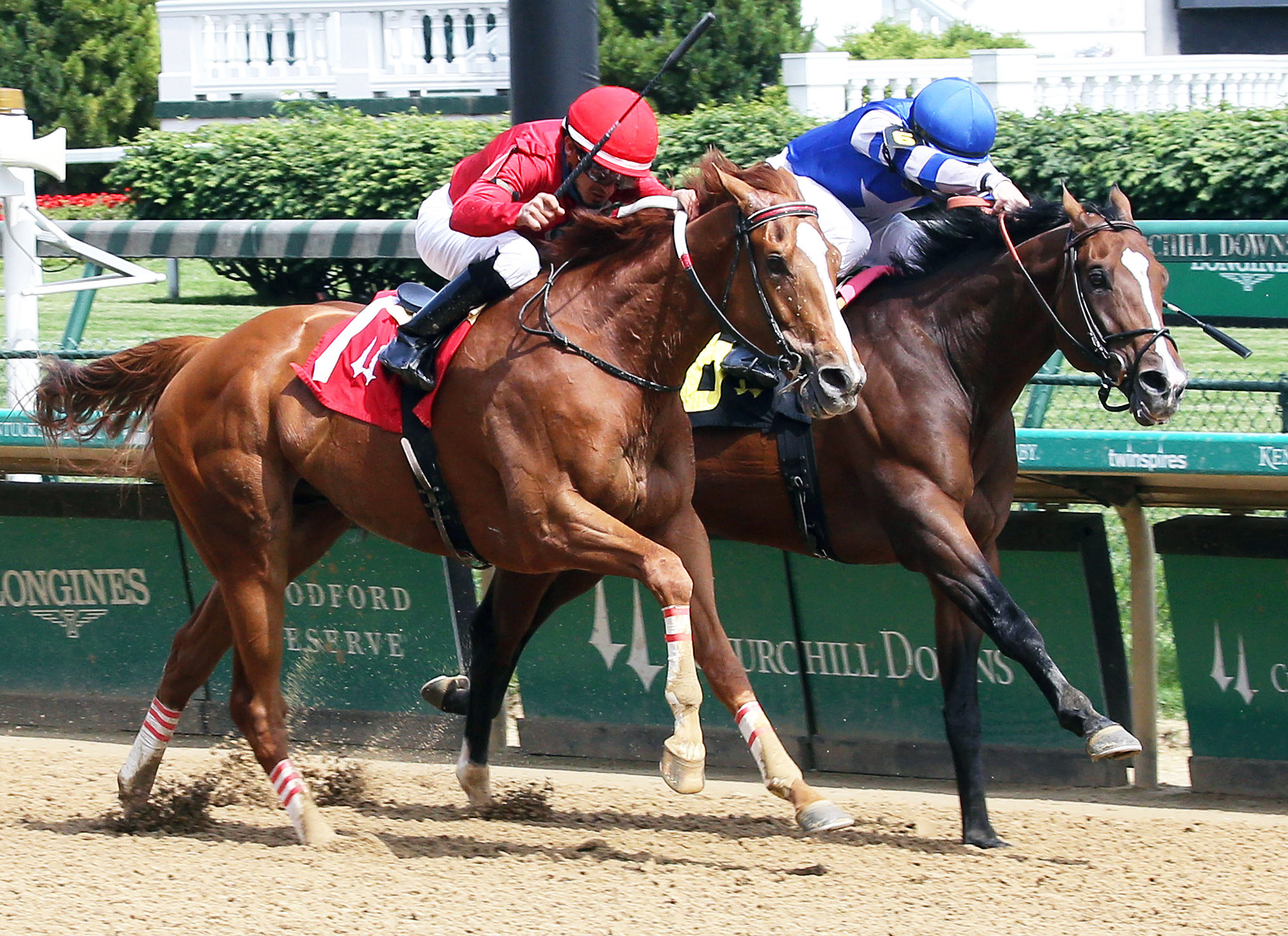 Claytnthelionheart (left) finishes second in a May 15 allowance at Churchill
