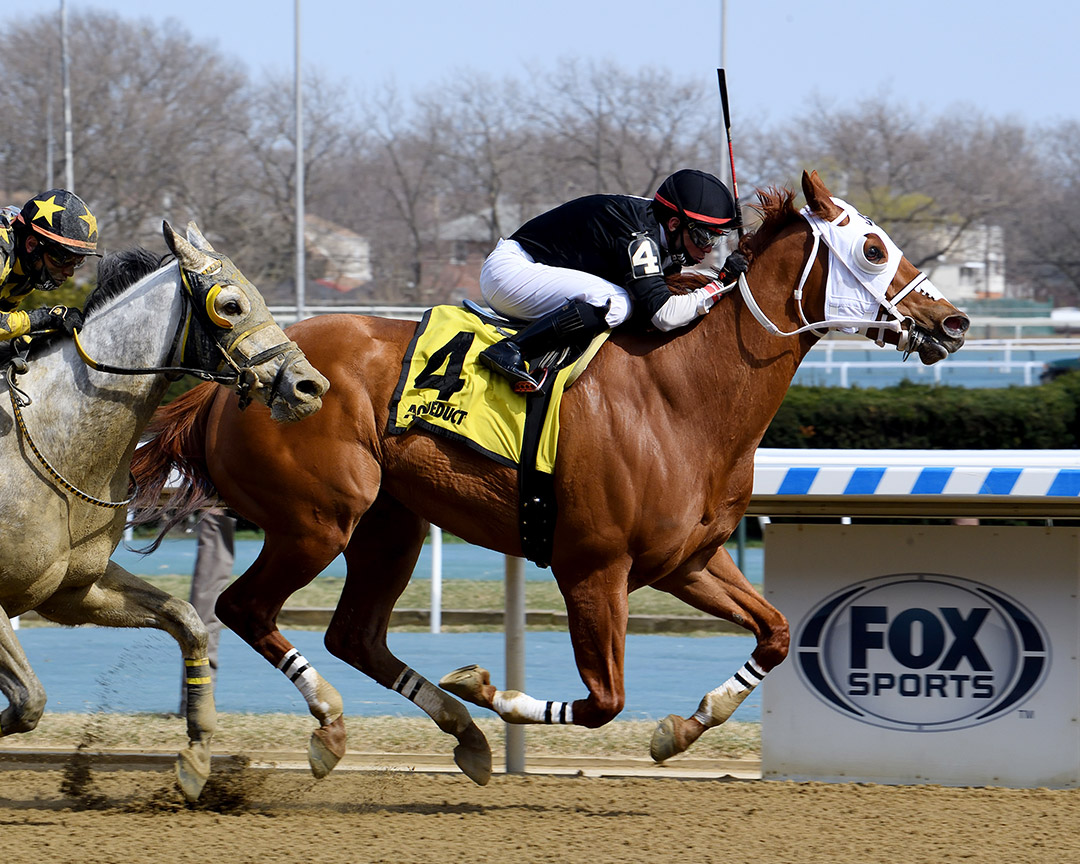 Bears Mafia wins the 2021 Kelly Kip Stakes at Aqueduct