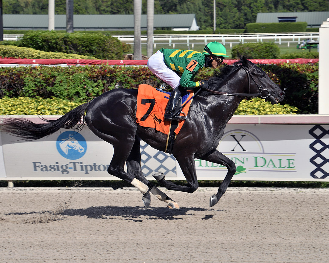Bears Watching wins a March 13 maiden at Gulfstream Park