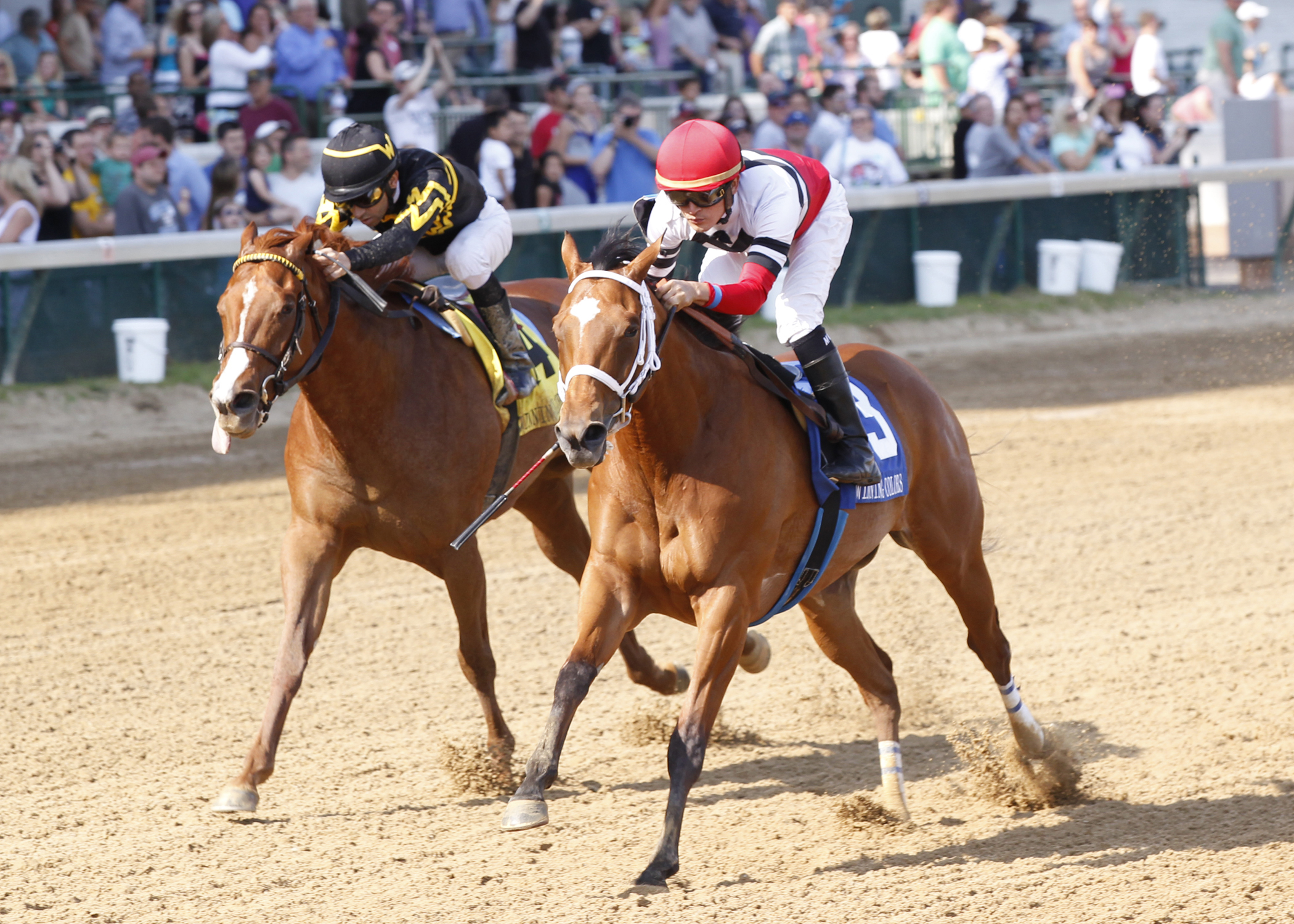 Judy the Beauty, Beat the Blues, Winning Colors Stakes