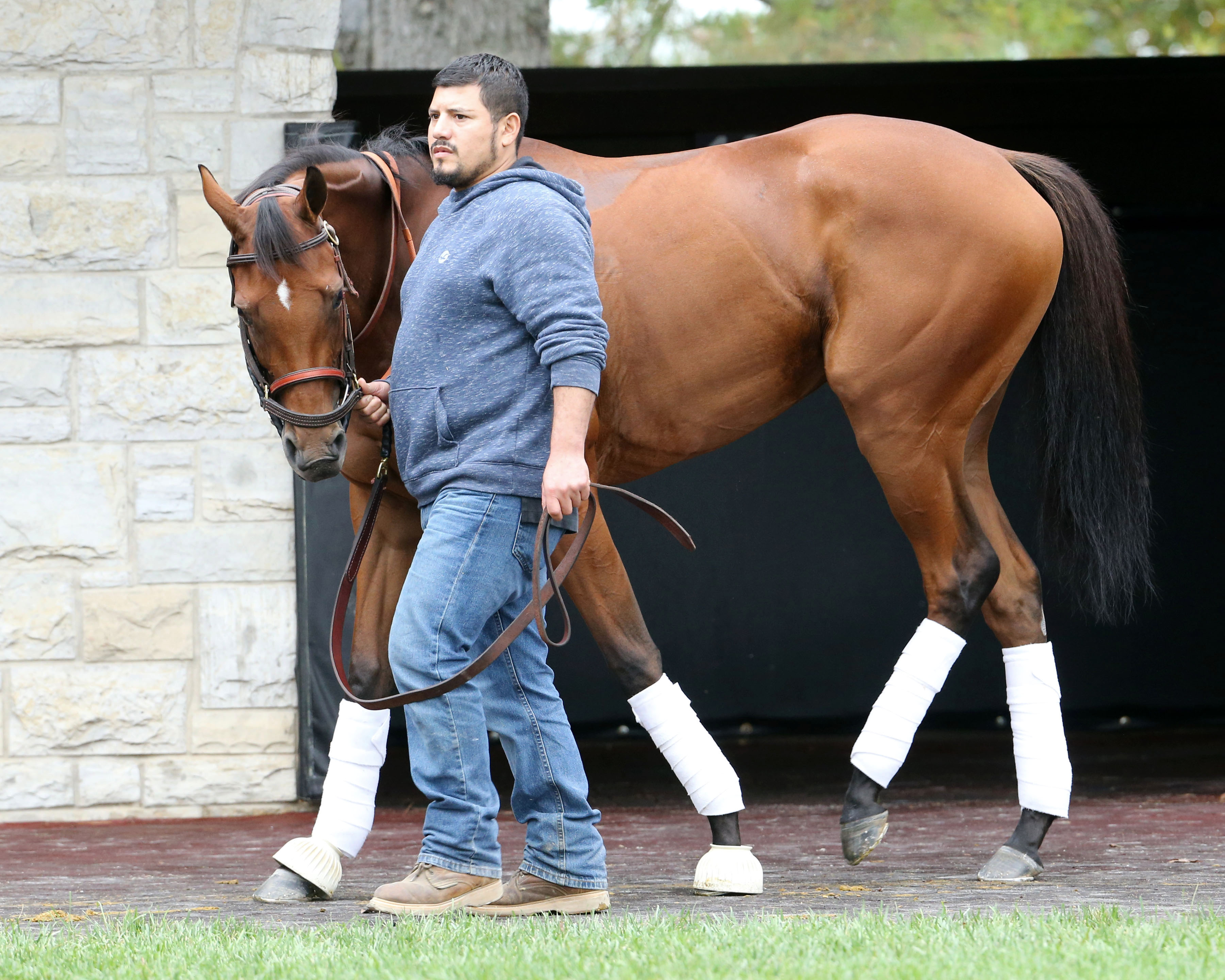 Beau Recall at Keeneland in October 2017
