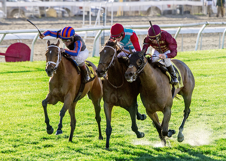 Beau Recall wins the 2018 Blushing KD Stakes