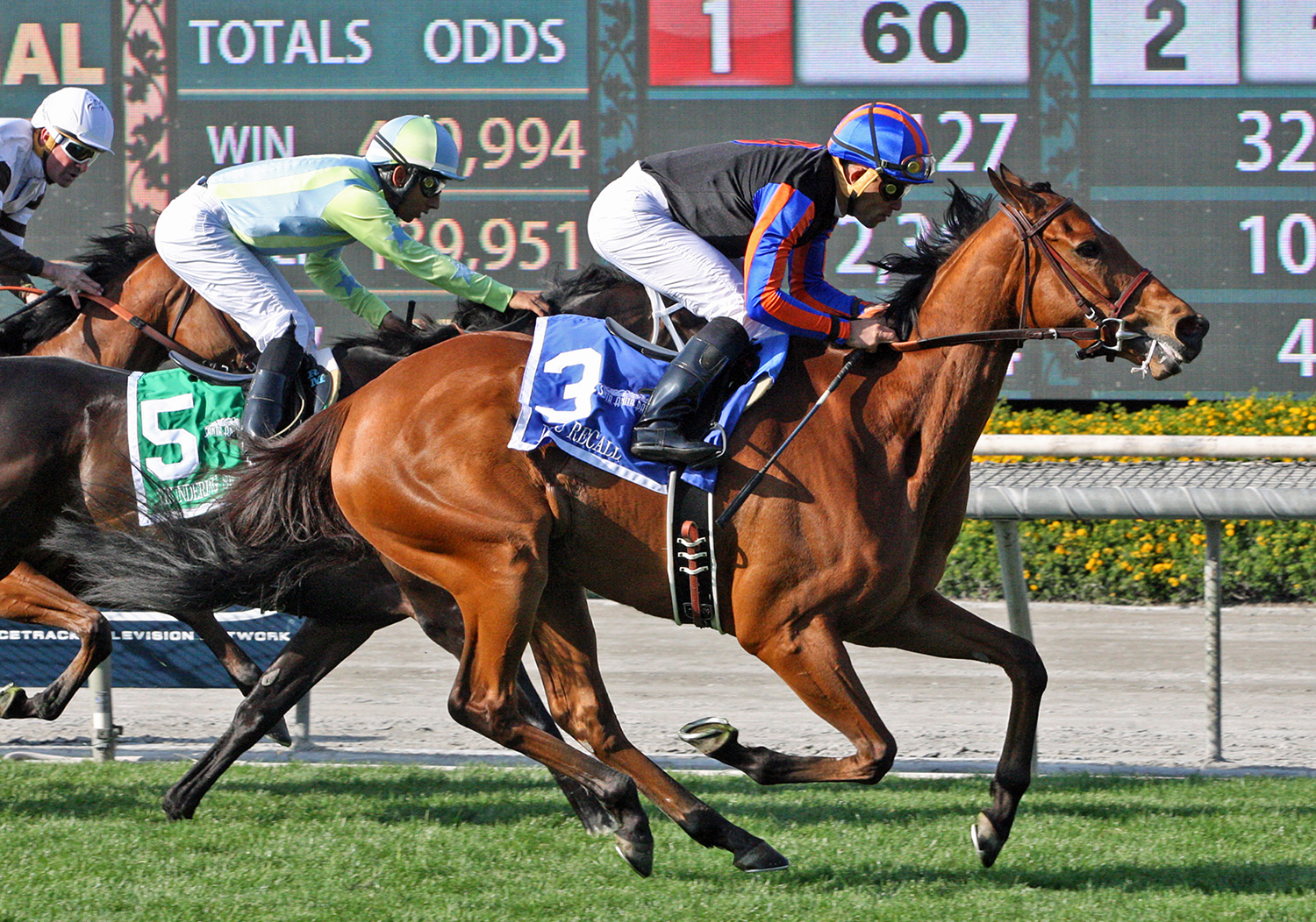 Beau Recall wins the 2018 Royal Heroine Stakes