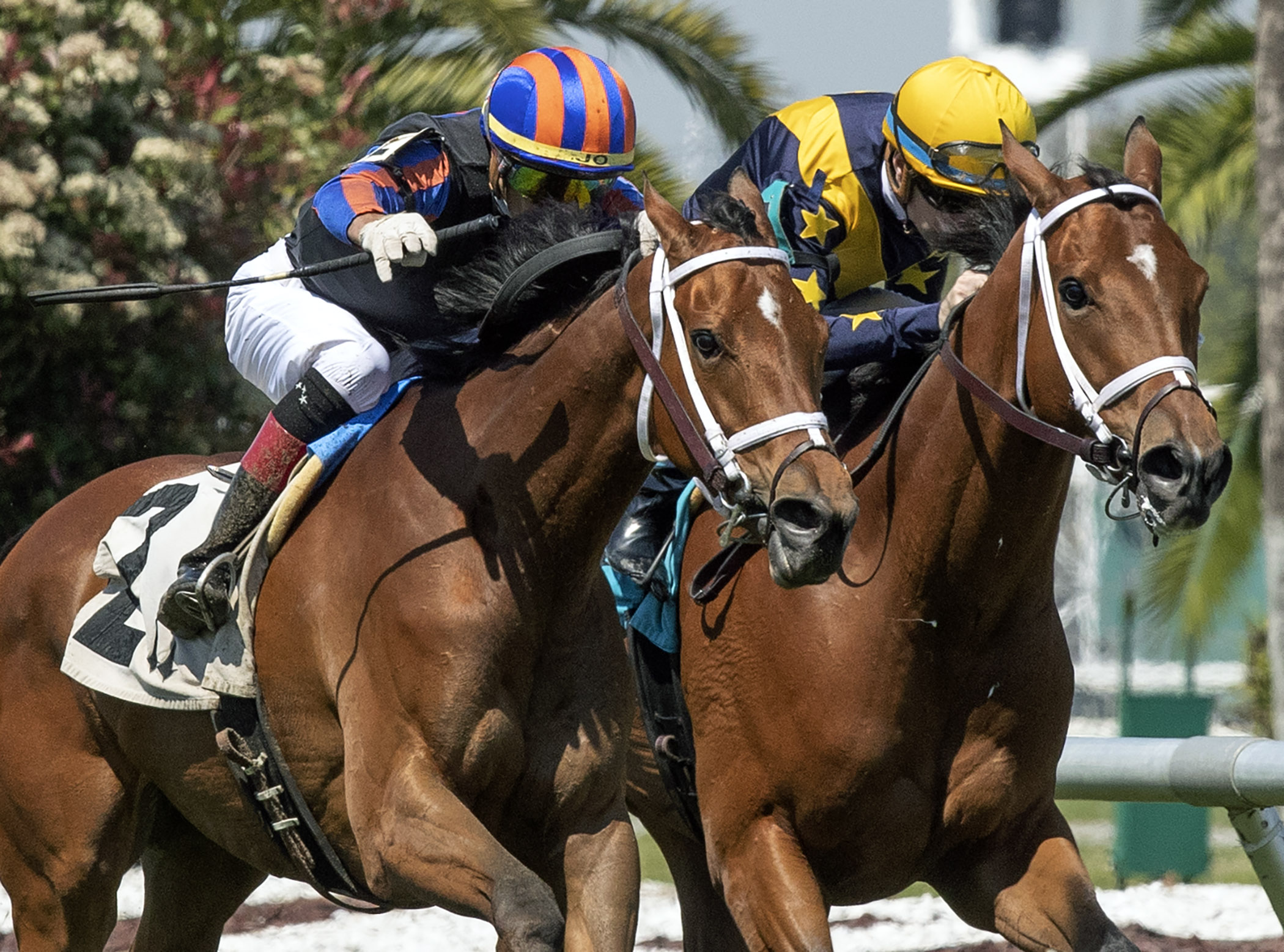 Beau Recall wins 2019 New Orleans Ladies