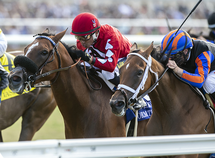 Storm the Hill (left) finishes second in the 2019 Yellow Ribbon Handicap at Del Mar