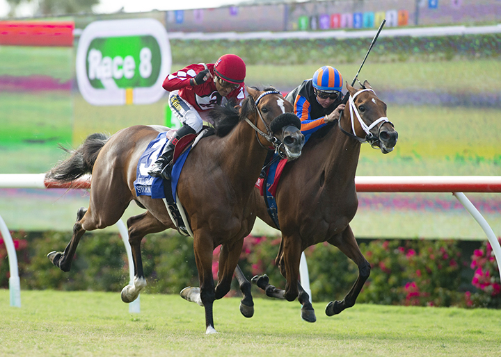 Beau Recall wins the 2019 Yellow Ribbon Handicap at Del Mar