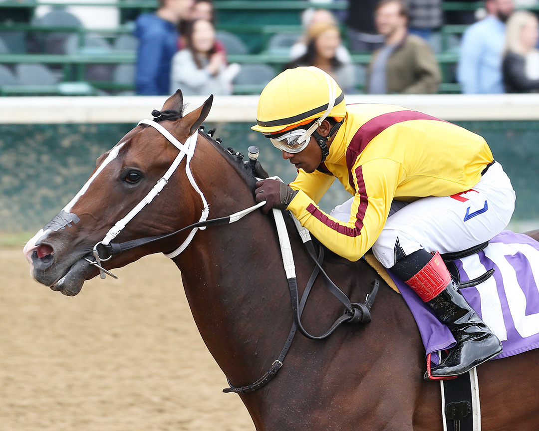 Beau Liam wins a May 29 maiden race at Churchill Downs