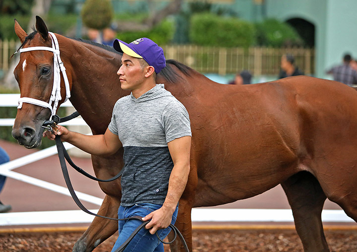Beau Recall at Santa Anita Park in September 2019
