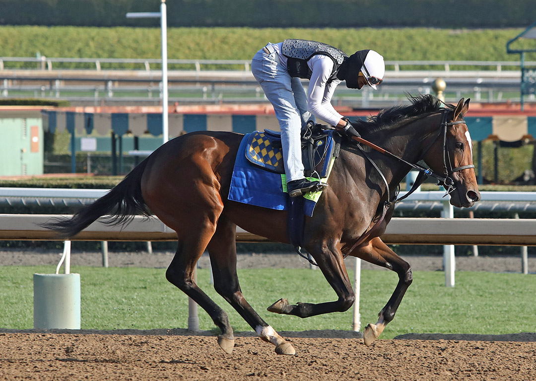 Beautiful Gift trains at Santa Anita on March 6