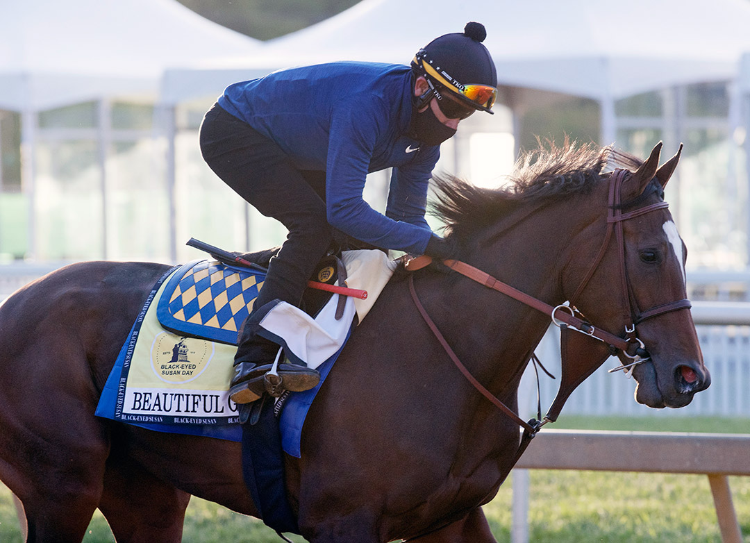 Beautiful Gift trains at Pimlico Race Course on May 12