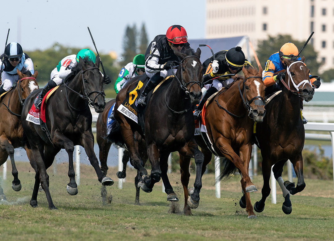 Beautiful Lover (6) wins the 2022 La Prevoyante Stakes at Gulfstream Park