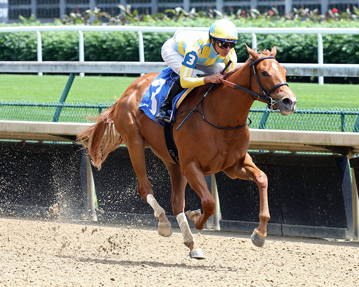 Beautiful Memories wins a May 28 maiden race at Churchill Downs