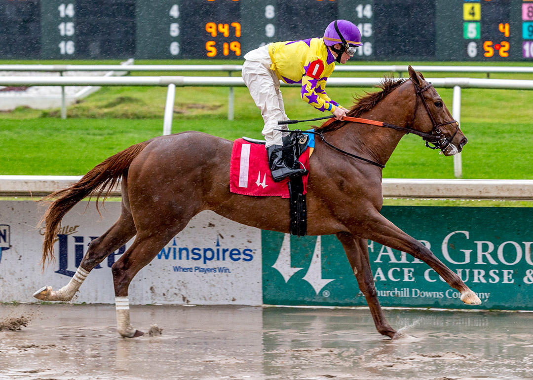 Beautiful Trauma wins a December 2019 allowance at Fair Grounds