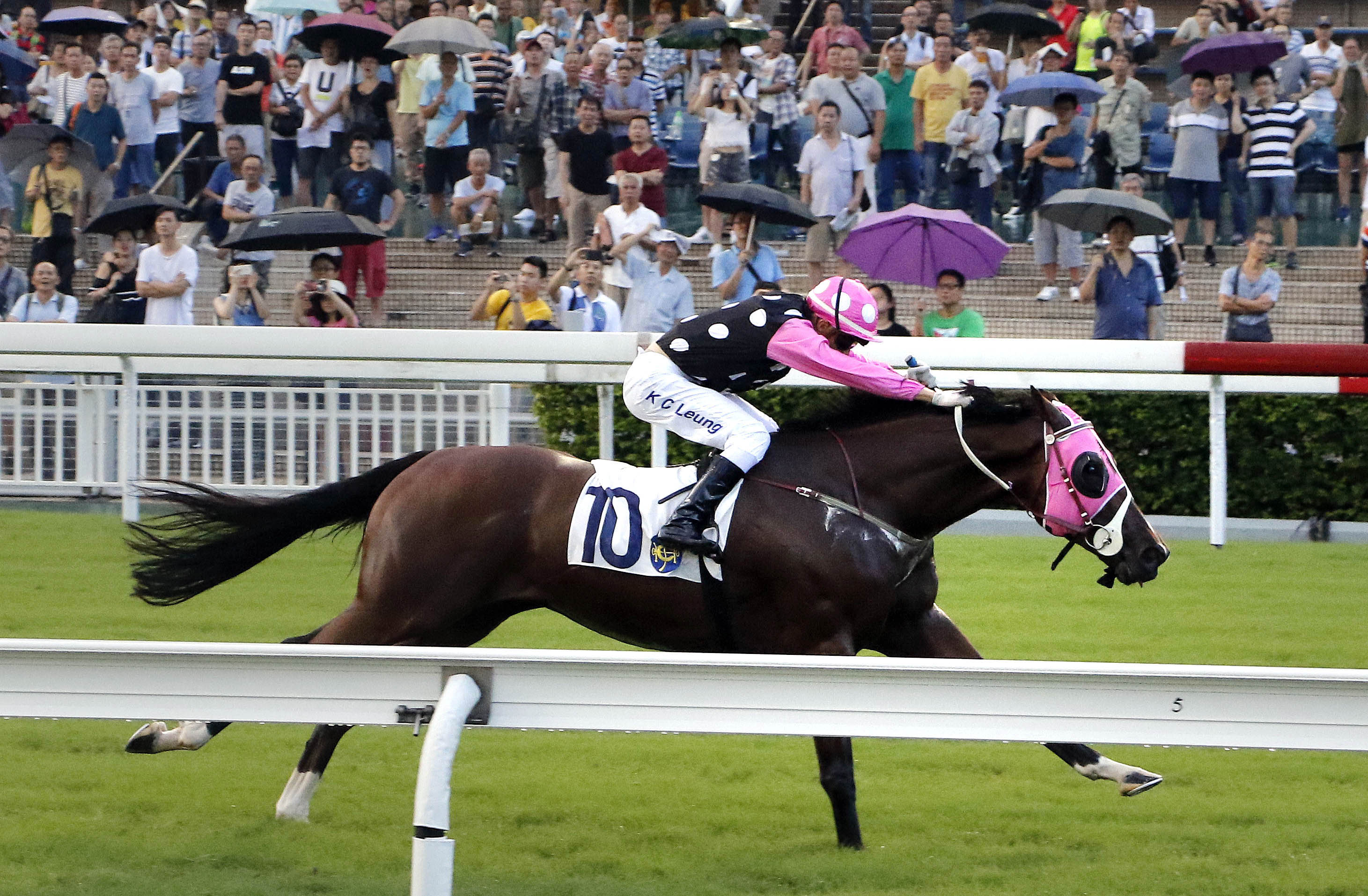 Beauty Generation wins the 2017 Celebration Cup