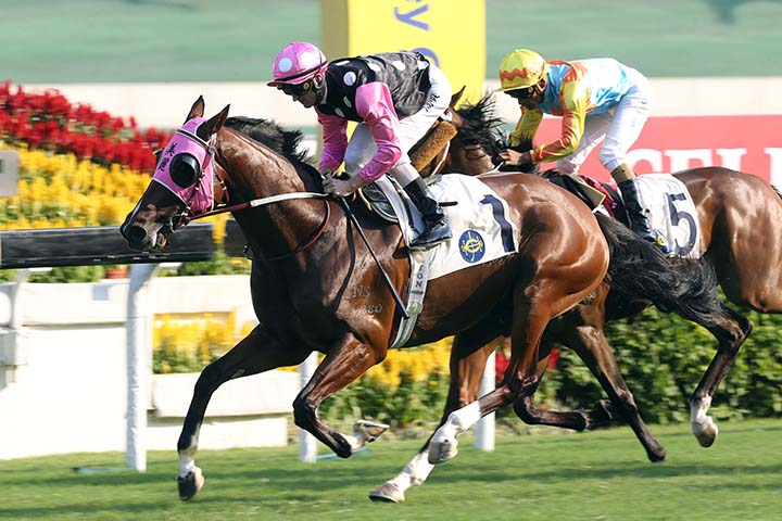 Beauty Generation wins the 2019 Celebration Cup at Sha Tin Racecourse