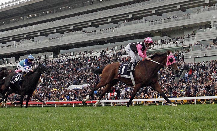 Beauty Generation wins the 2018 Hong Kong Mile at Sha Tin Racecourse