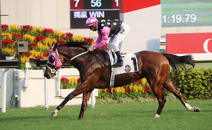 Beauty Generation wins the 2018 Celebration Cup