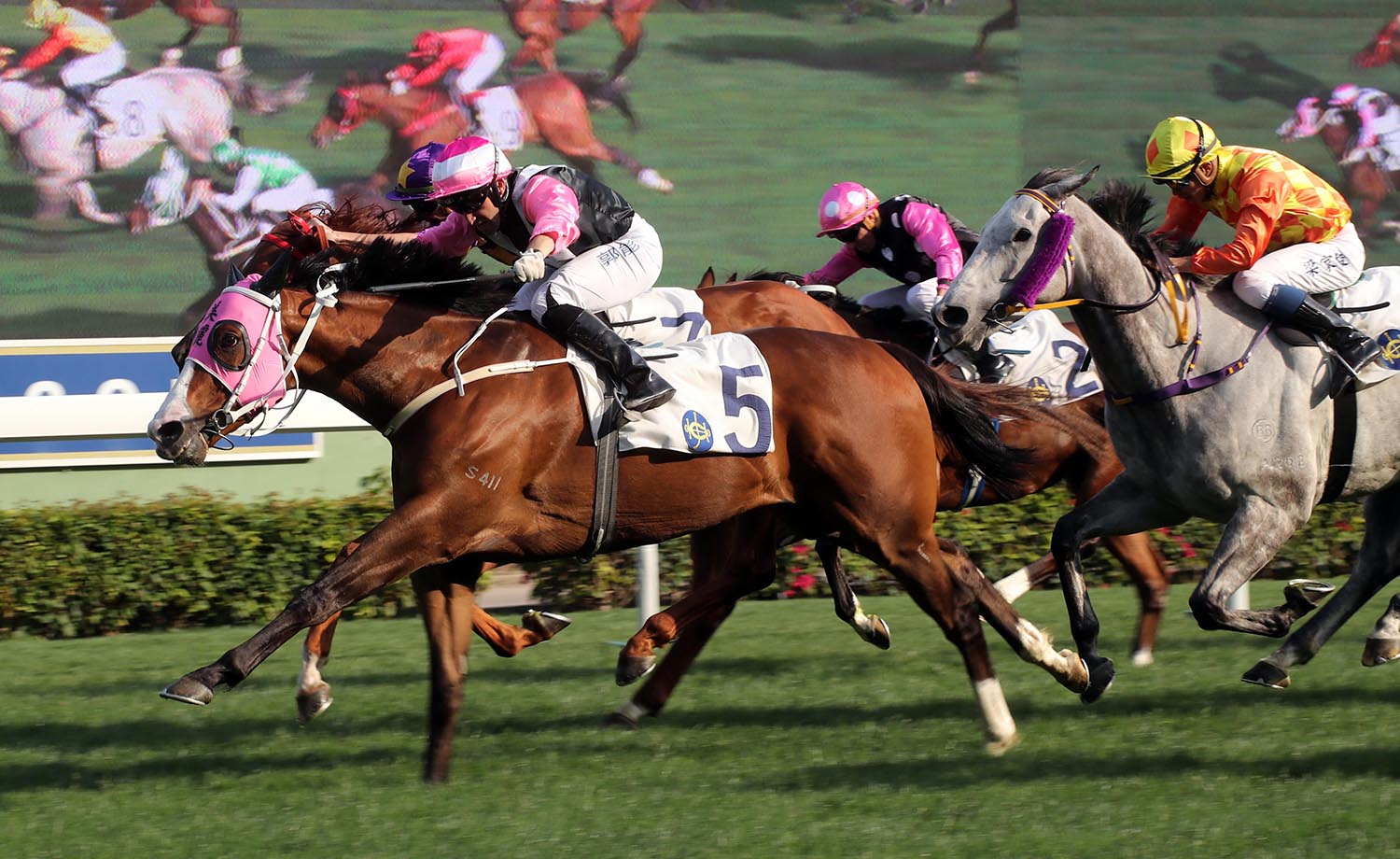 Beauty Only wins the 2018 Chairman-s Trophy