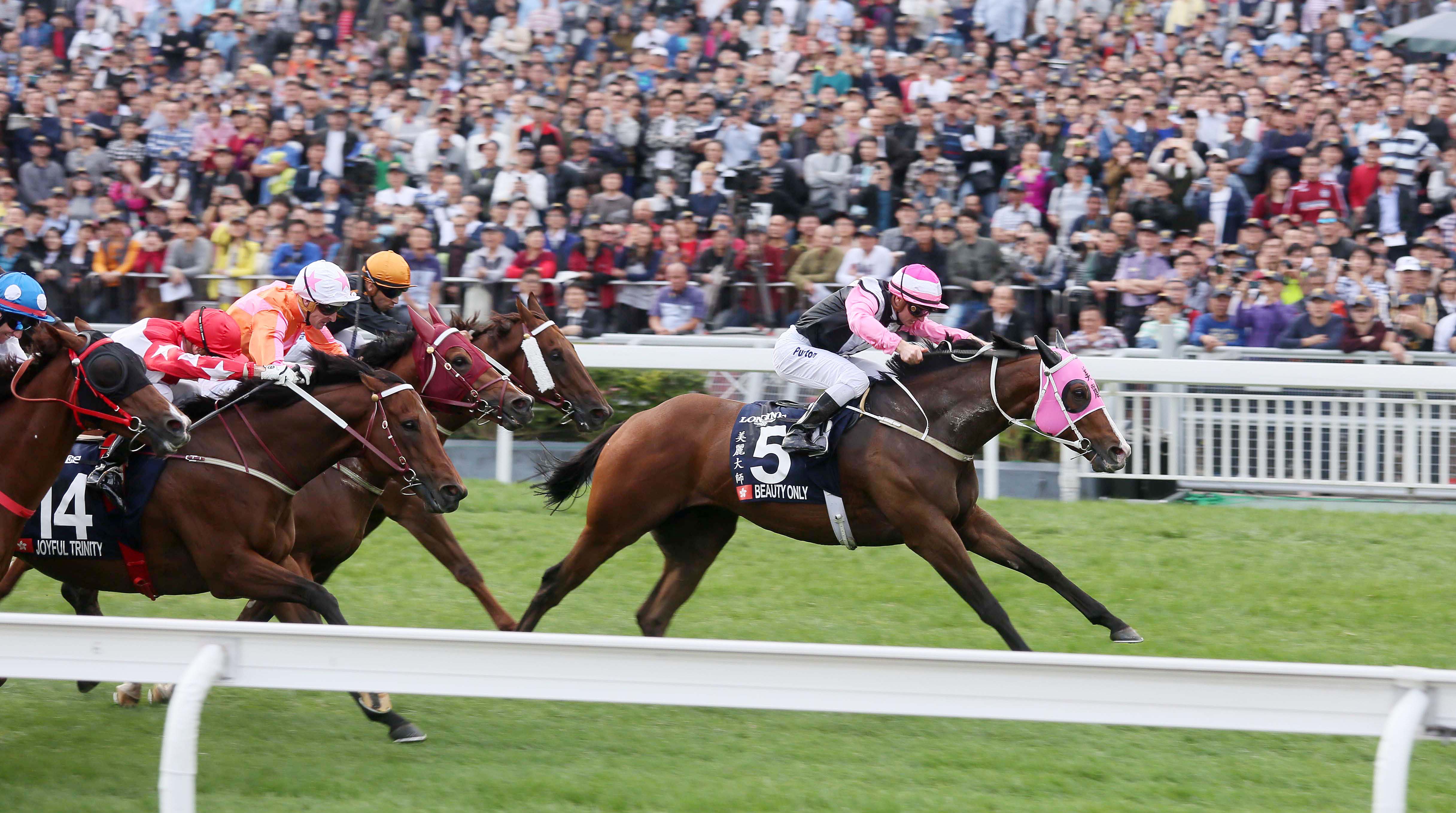 Beauty Only wins the 2016 Hong Kong Mile
