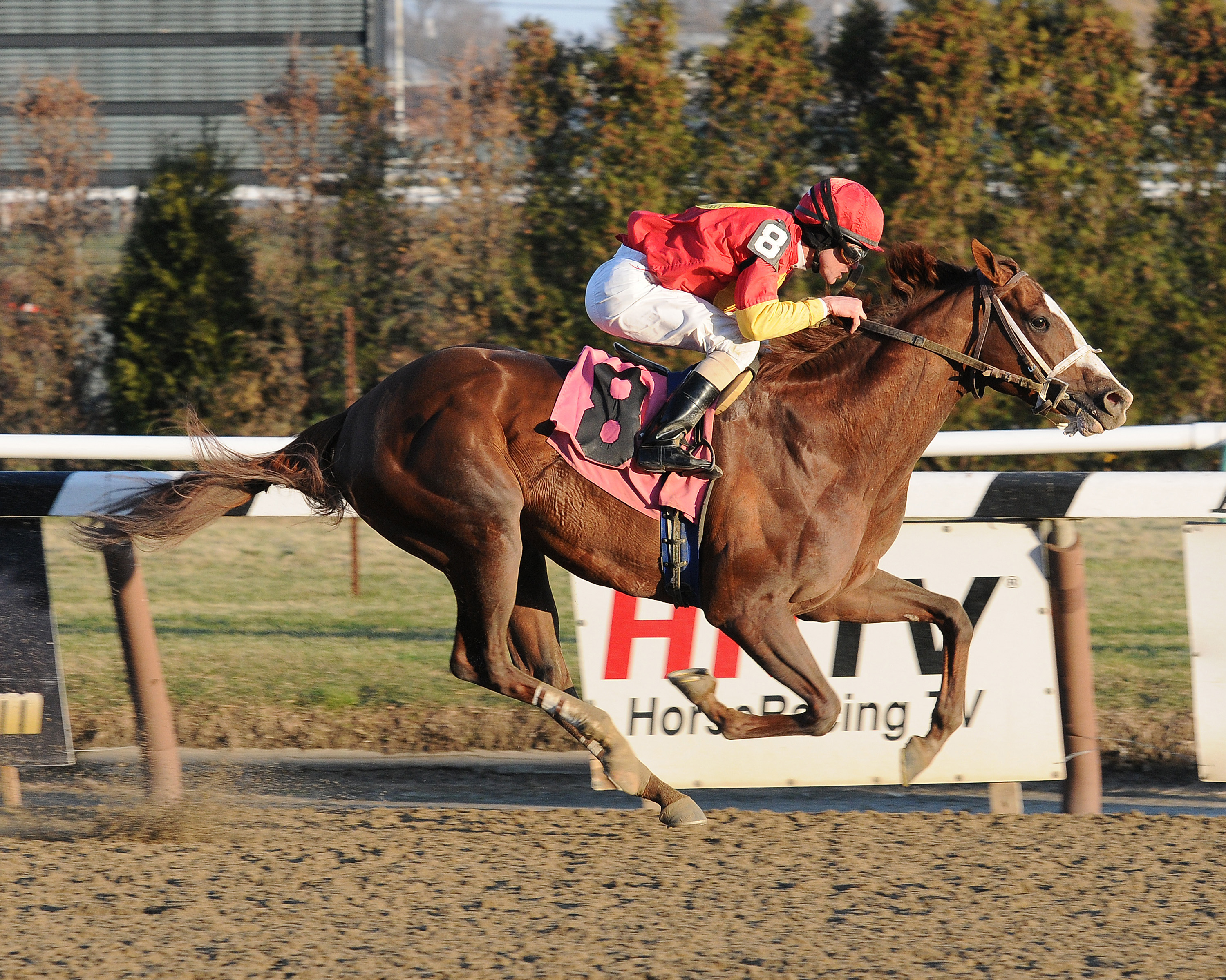 Beautyinthepulpit/allowance
