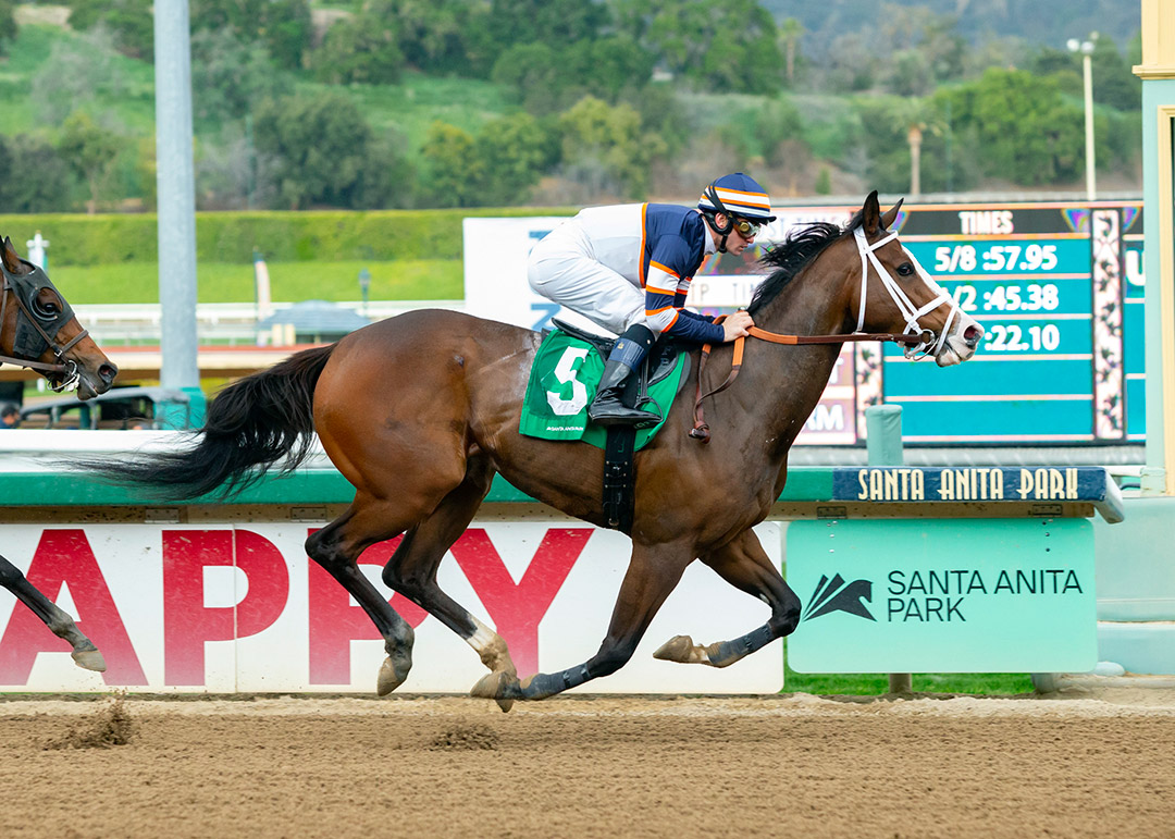 Becca Taylor wins the 2022 Spring Fever Stakes at Santa Anita Park
