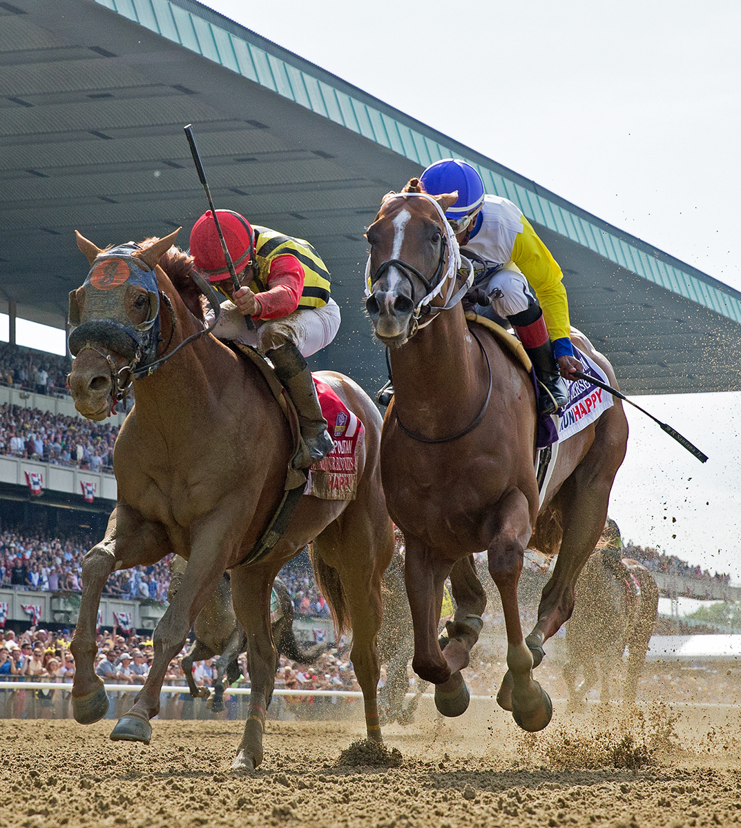 Mind Your Biscuits finishes second in the 2018 Met Mile
