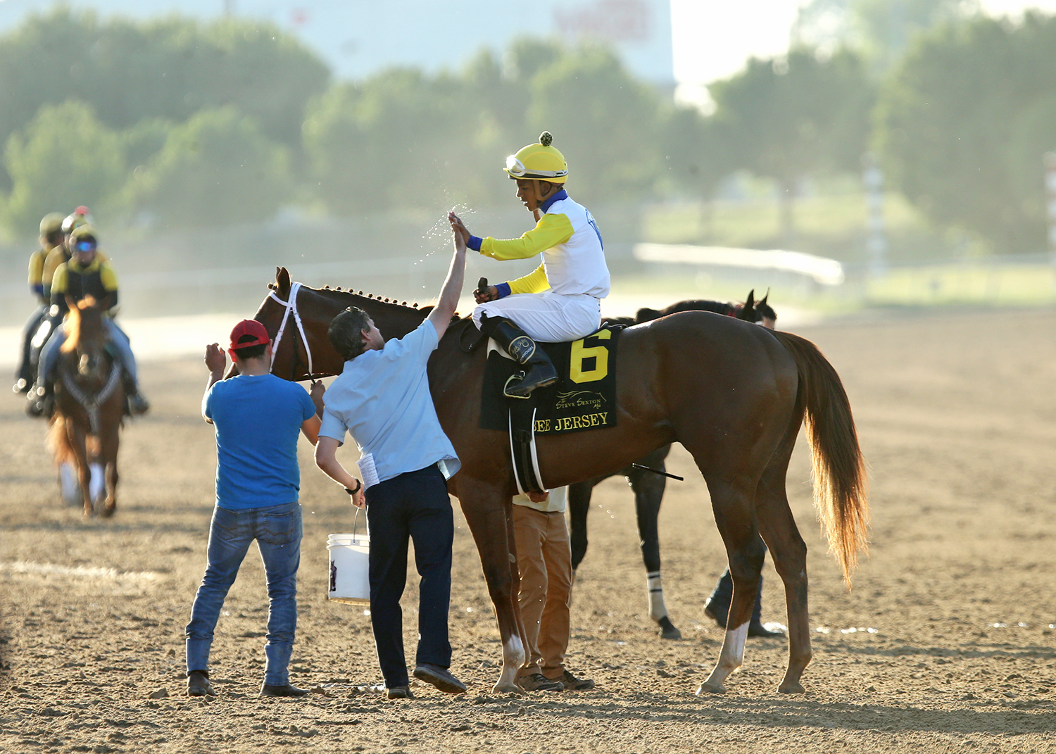 Bee Jersey after winning the Steve Sexton Mile