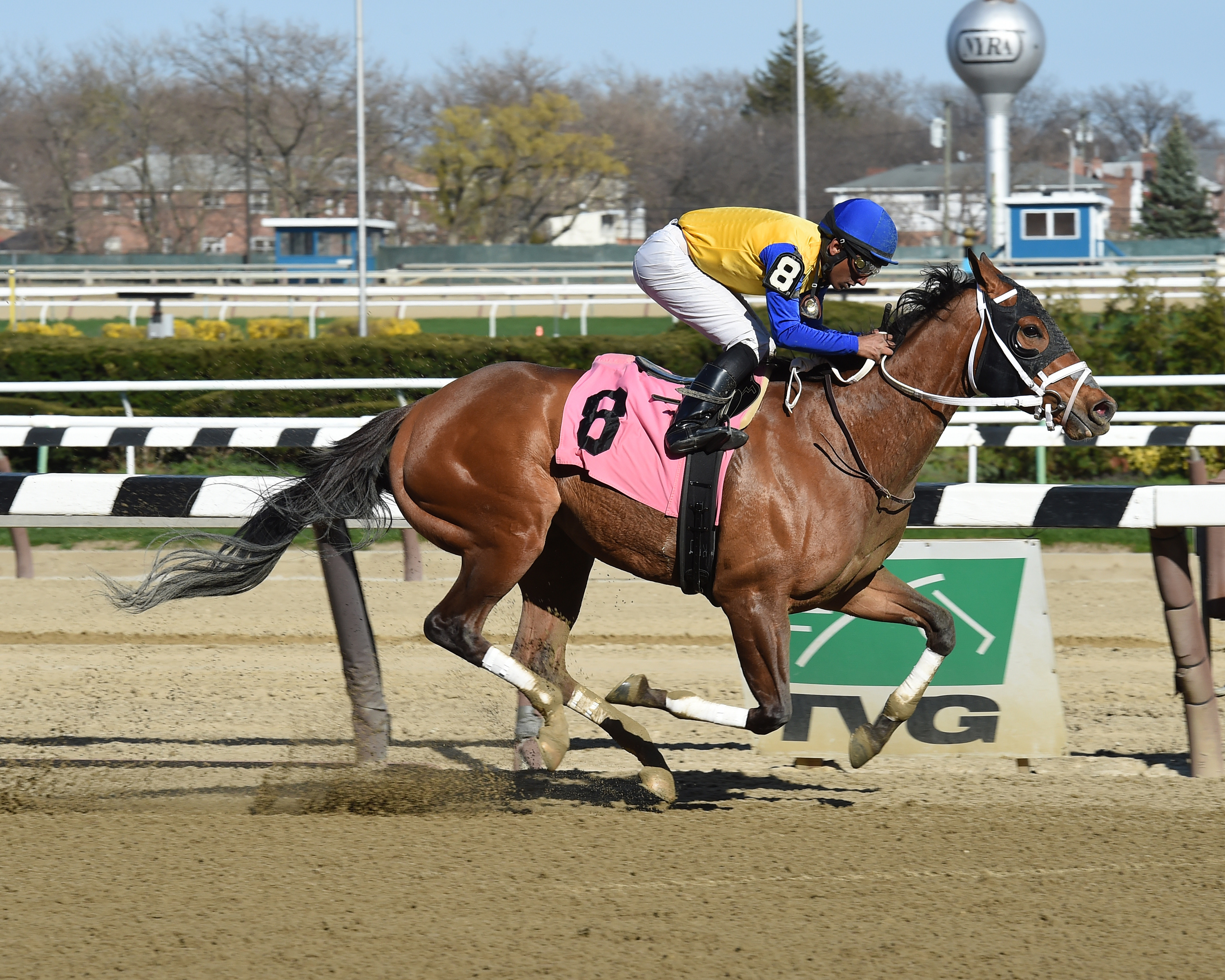 Bee Noteworthy wins an April 14 optional claimer