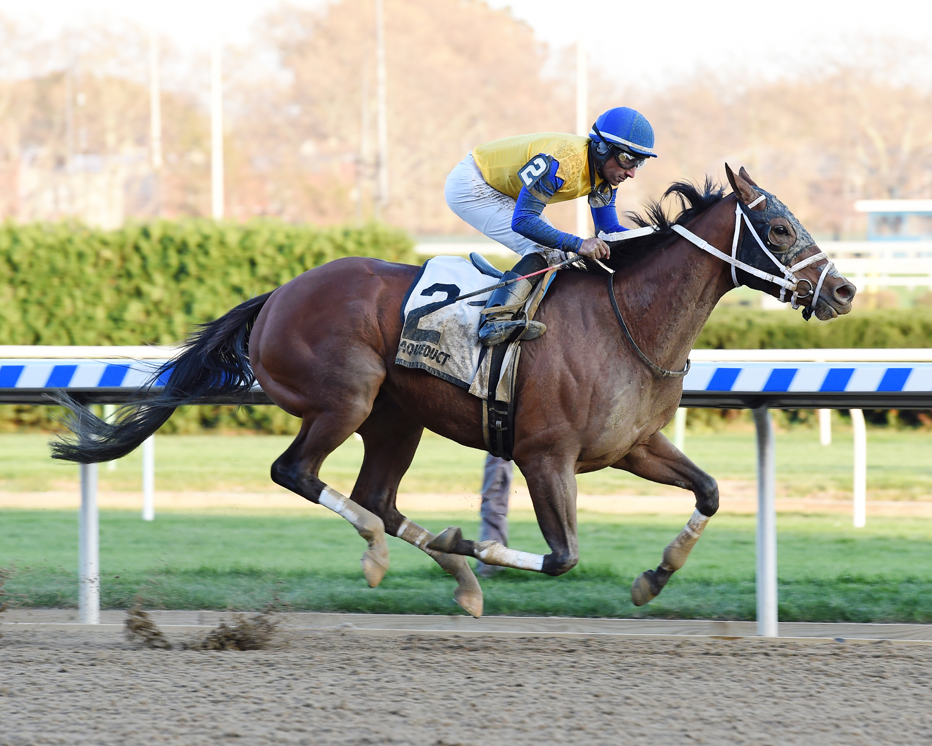 Bee Noteworthy wins the 2017 Staten Island Stakes