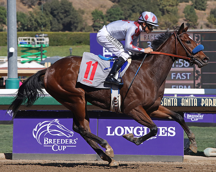 Been Studying Her wins the 2019 Golden State Juvenile Fillies Stakes at Santa Anita Park