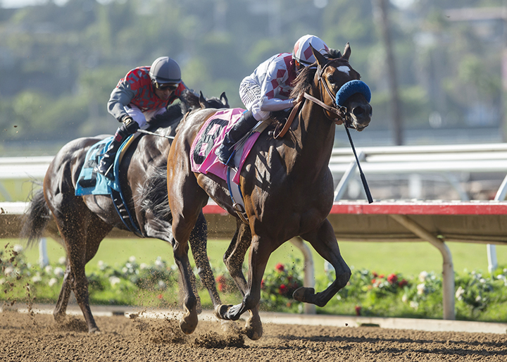 Been Studying Her wins the 2019 Generous Portion Stakes at Del Mar