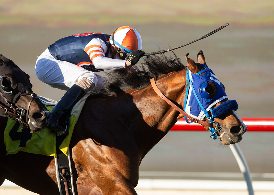 Beer Can Man wins the 2020 Cecil B. Demille Stakes at Del Mar