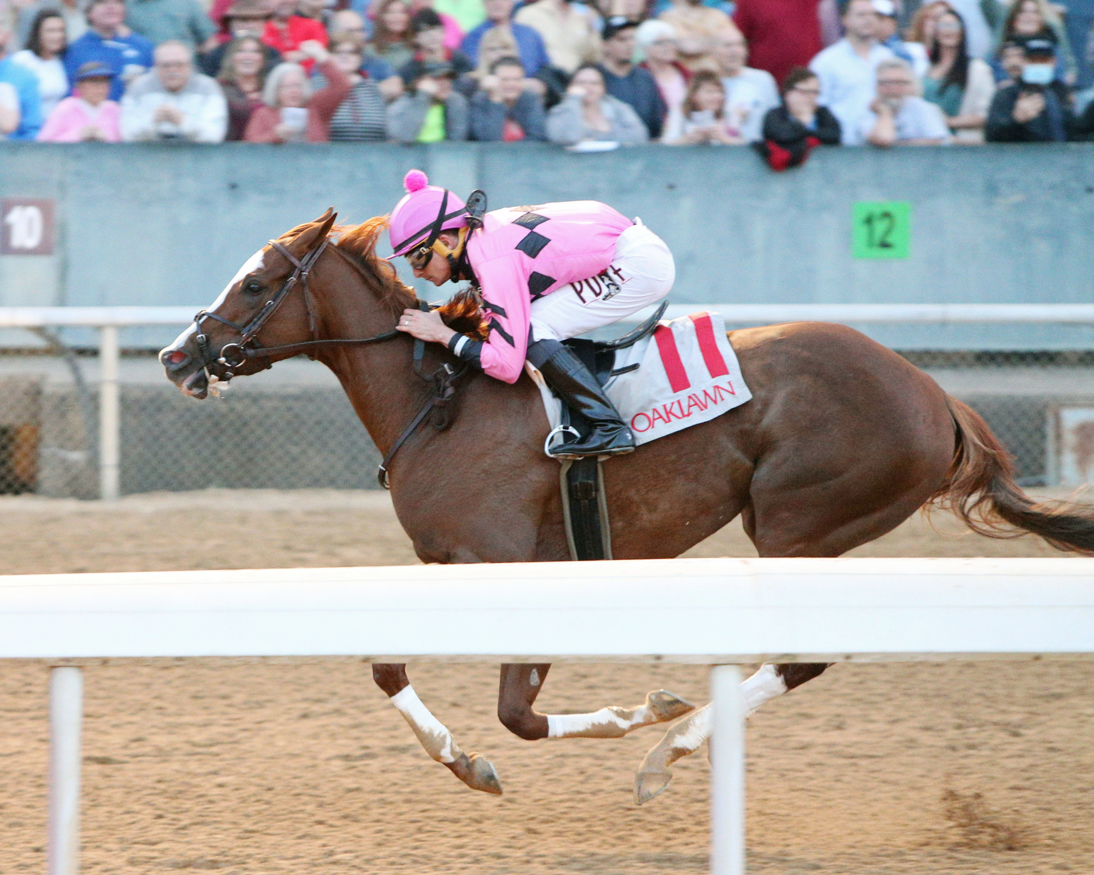 Beguine/maiden win