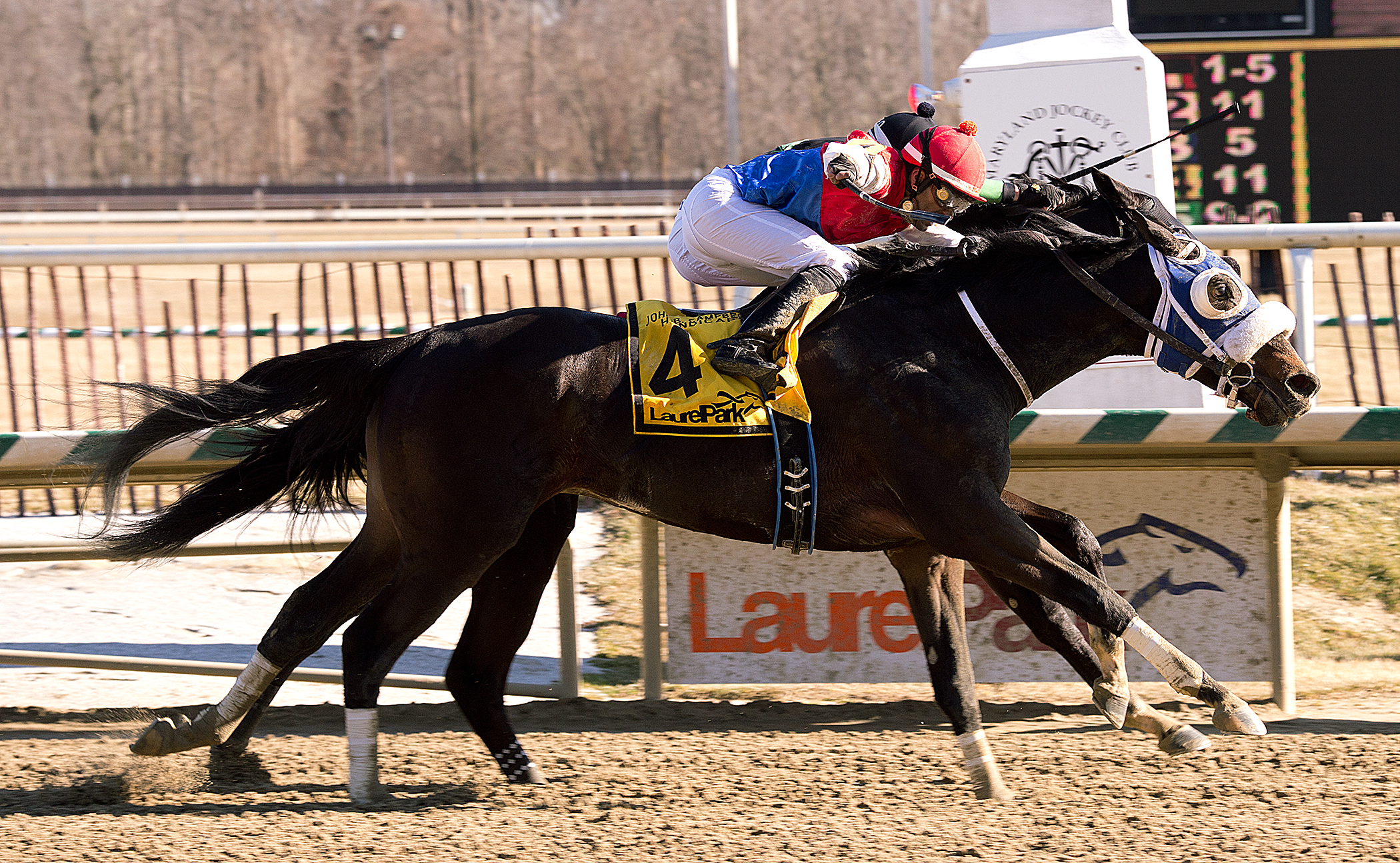 Behemoth wins the John B. Campbell Hanidcap