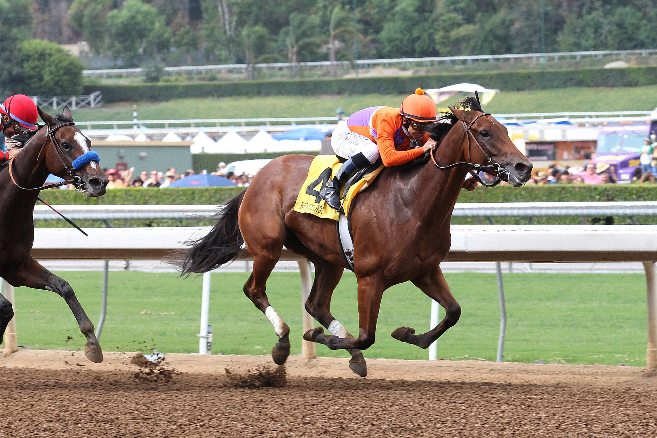 Beholder wins 2014 Zenyatta