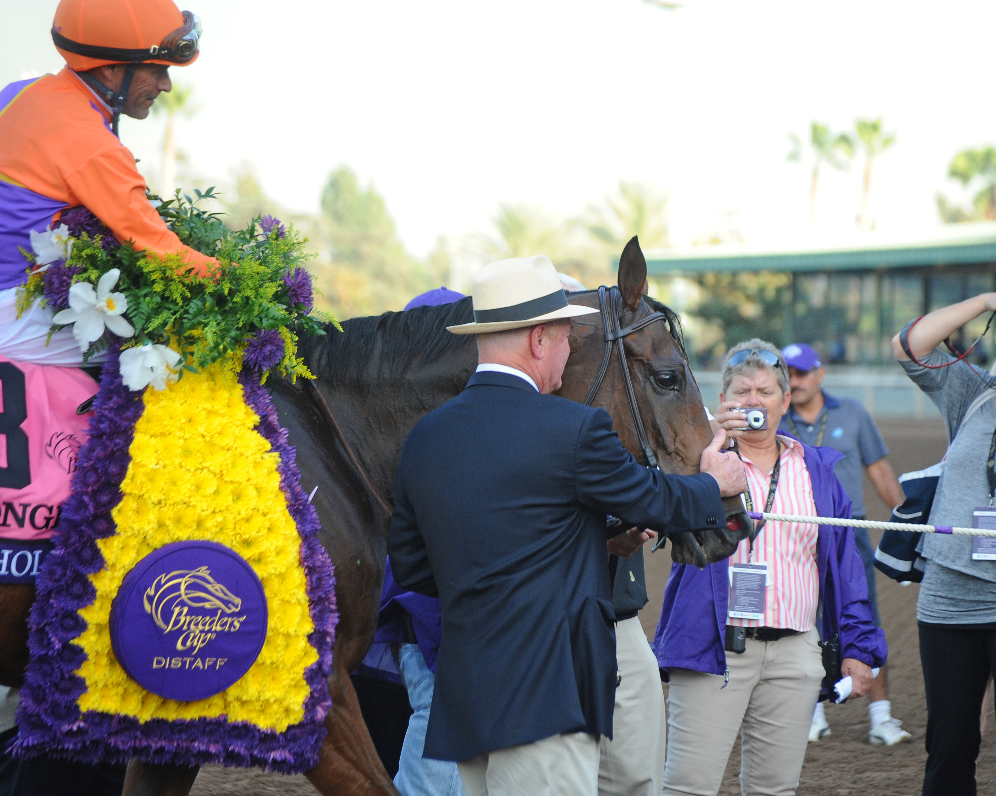 Beholder 11-4-2016