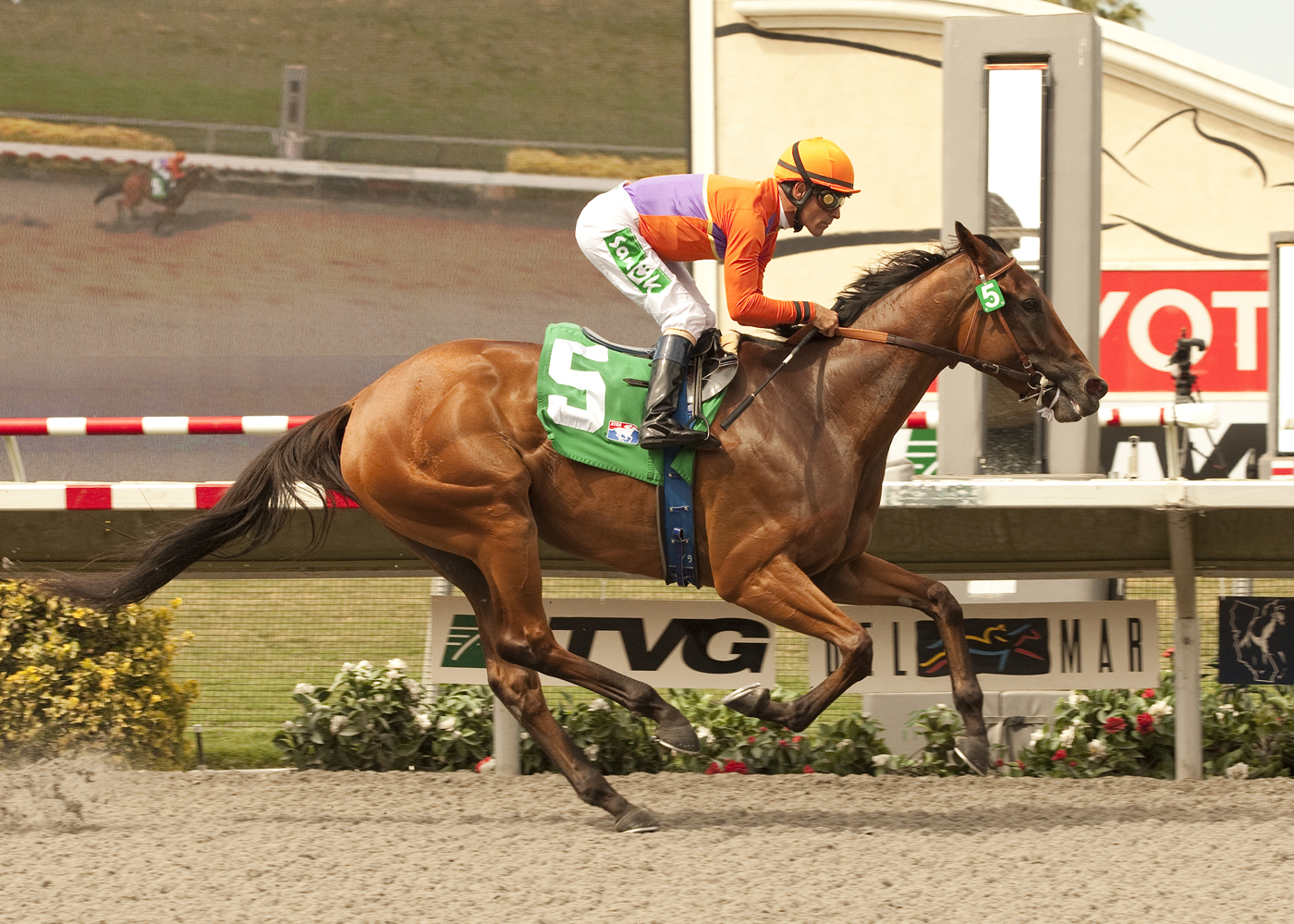 Beholder