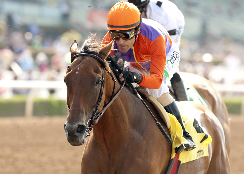Beholder wins 2015 Adoration