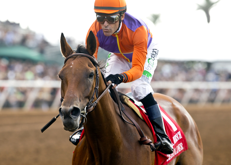 Beholder wins 2015 Clement Hirsch