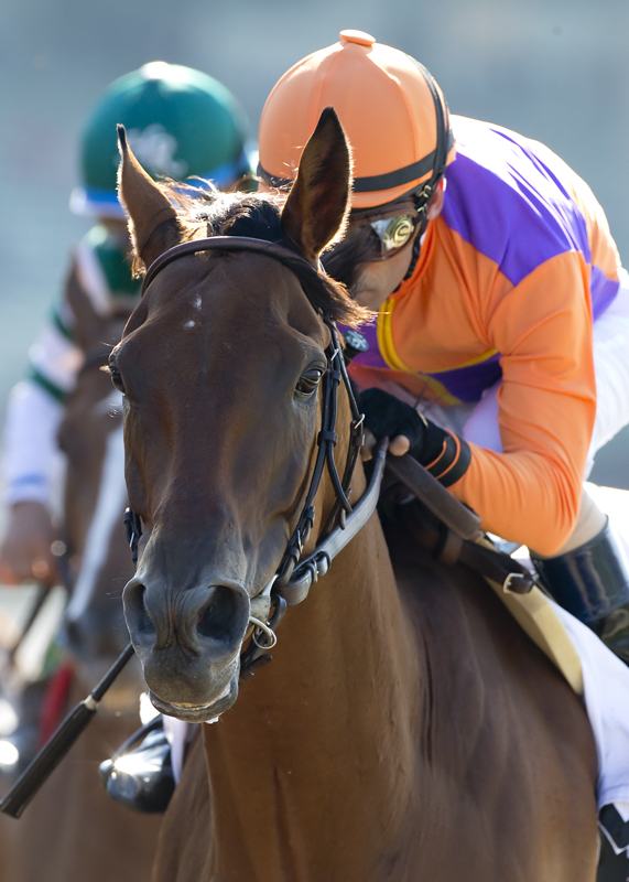 Beholder 6-4-2016