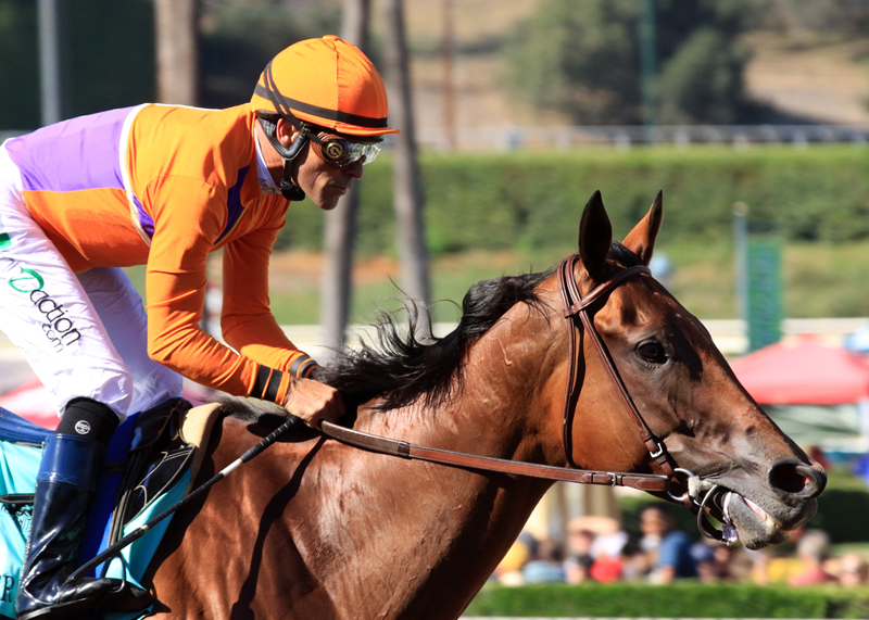 Beholder 9-26-2015