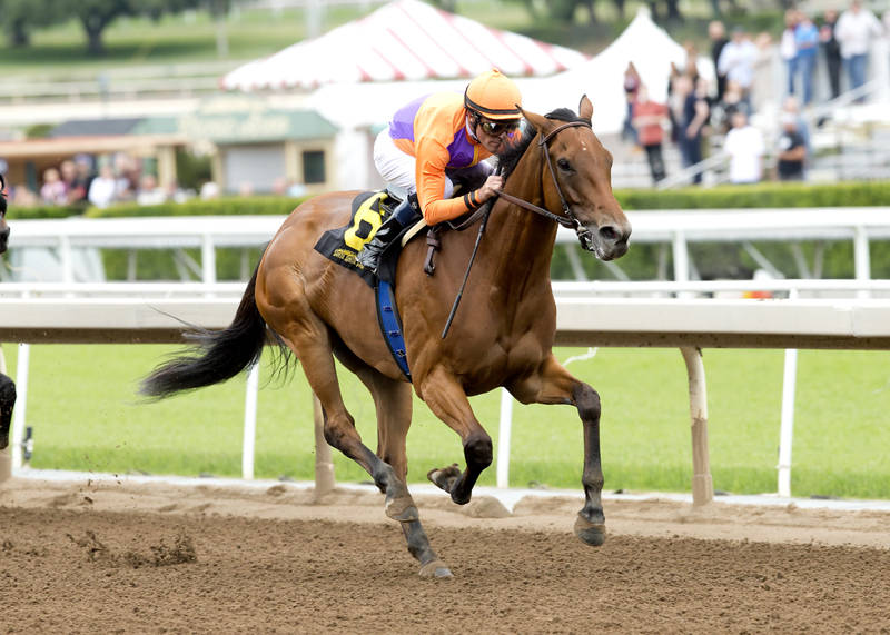 Beholder 5-8-2016