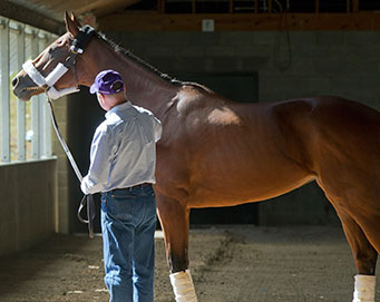 Beholder block