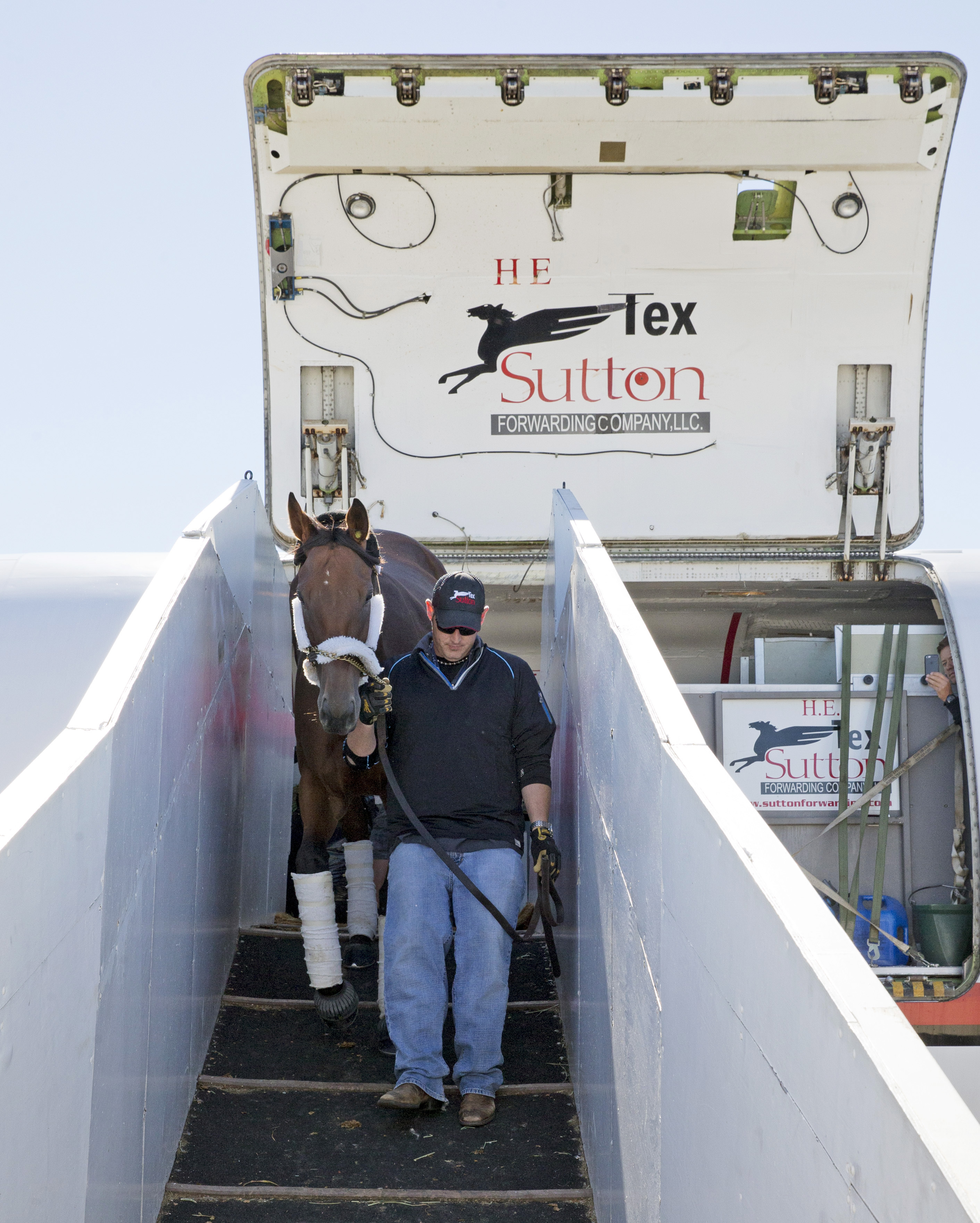 Beholder arrives at Keeneland