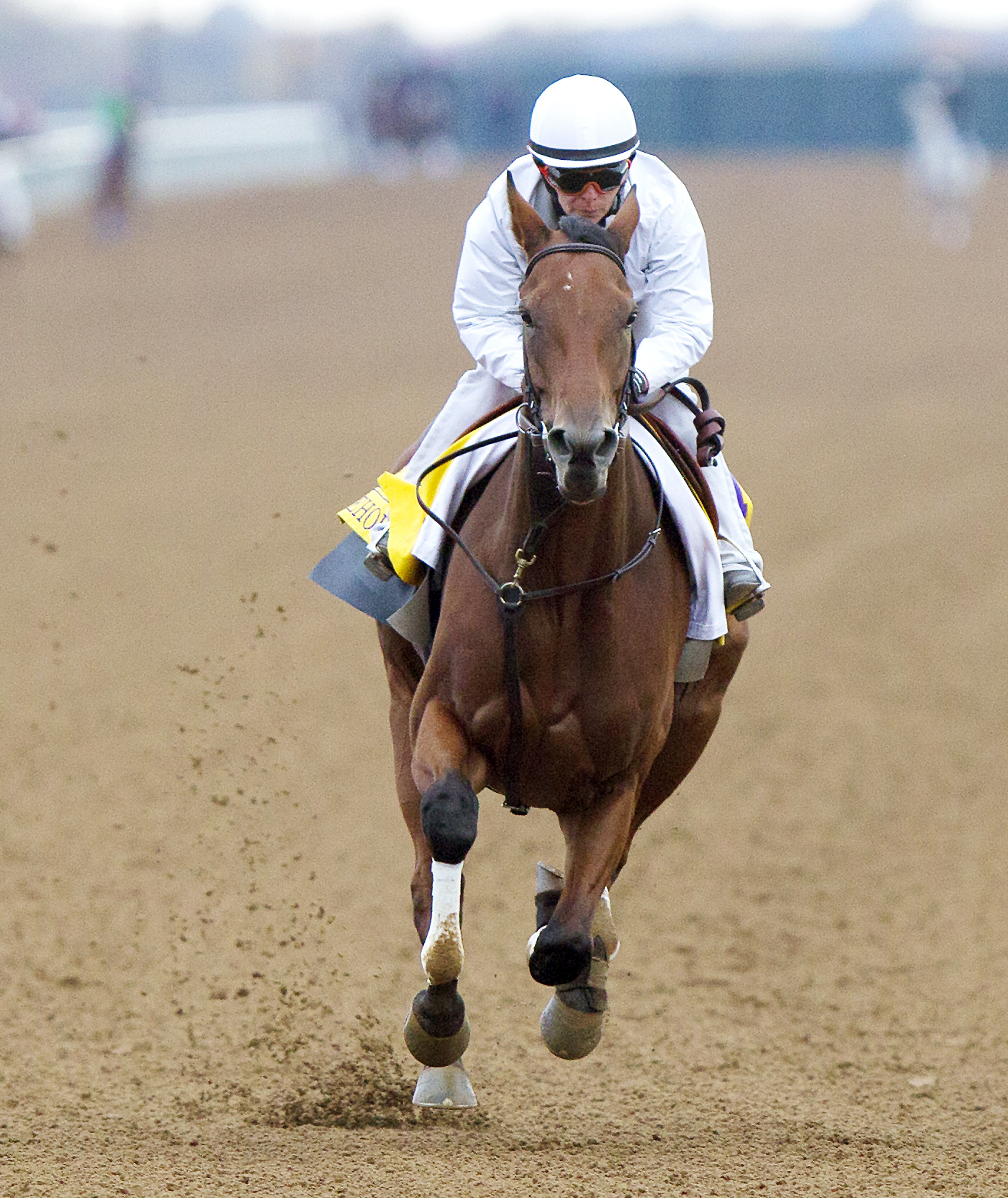 Beholder trains at Keeneland on Oct. 26