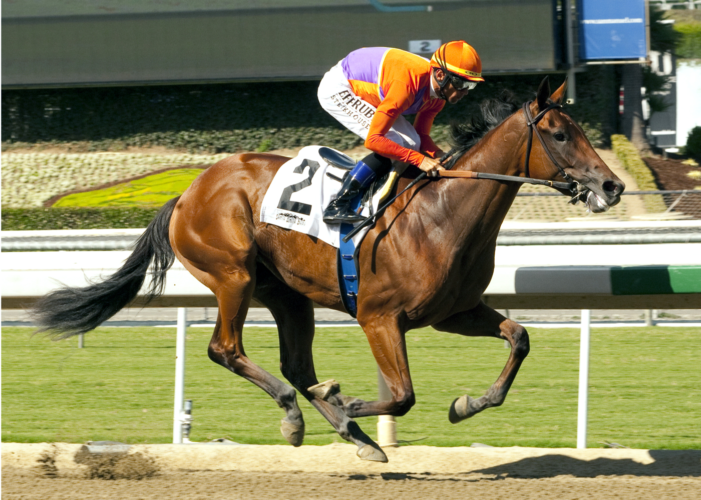 Beholder/allowance race